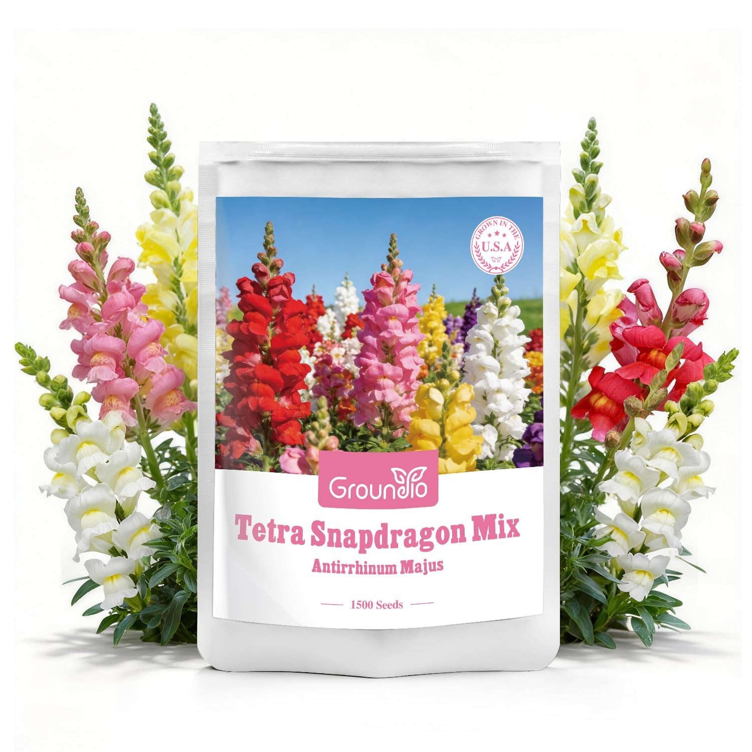 1500+ Snapdragon Seeds Mix – 18-24″ Tall Annual Wildflower Seeds for Garden & Co