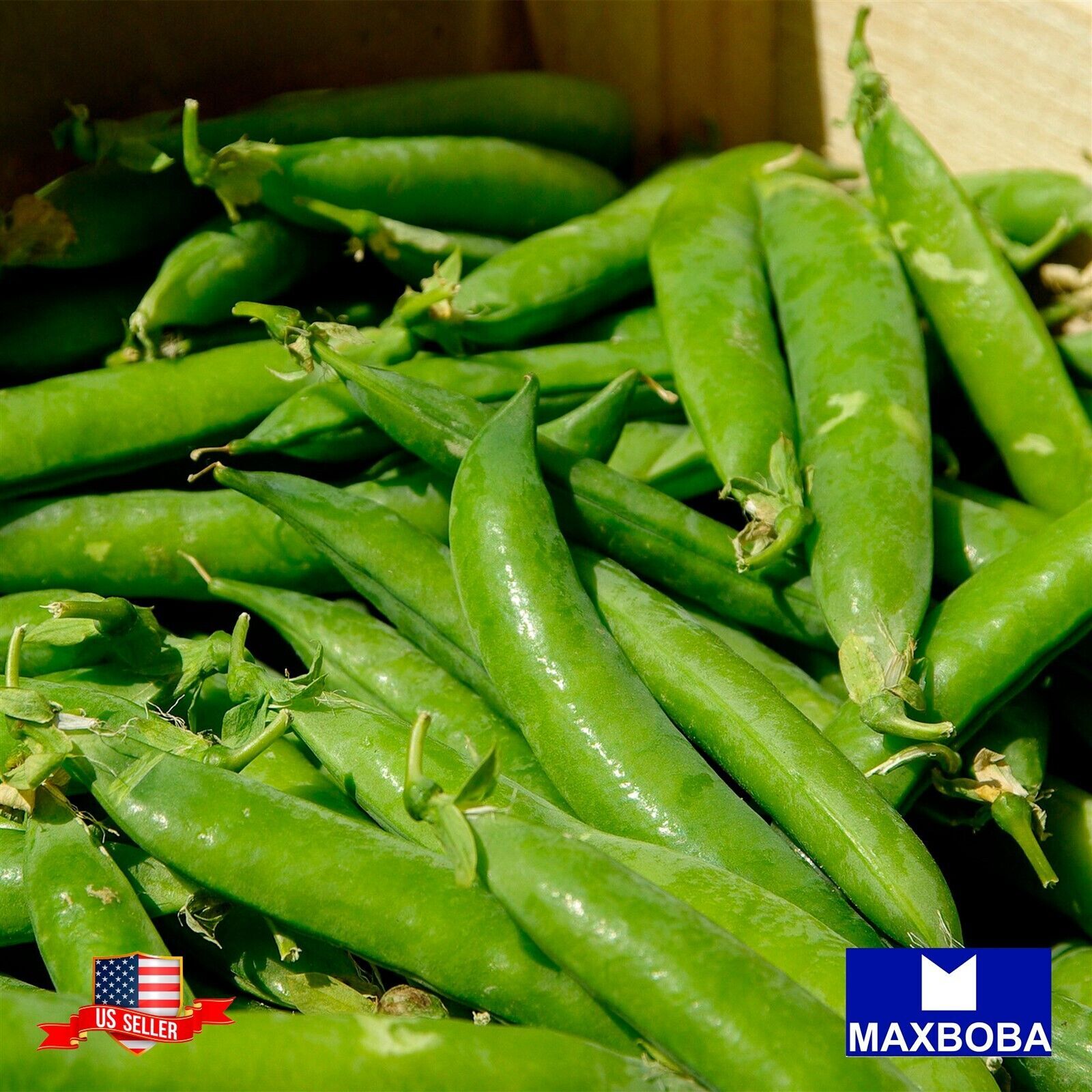 Premium Fresh 100 Seeds Pea Snap Sugar Daddy Non-GMO Heirloom Garden Vegetable