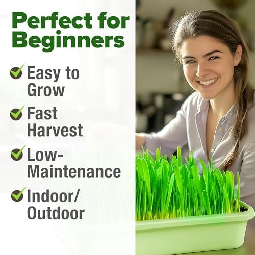 12,000+ Wheatgrass Seeds Bulk Pack – Heirloom Hard Red Winter for Juicing & Micr