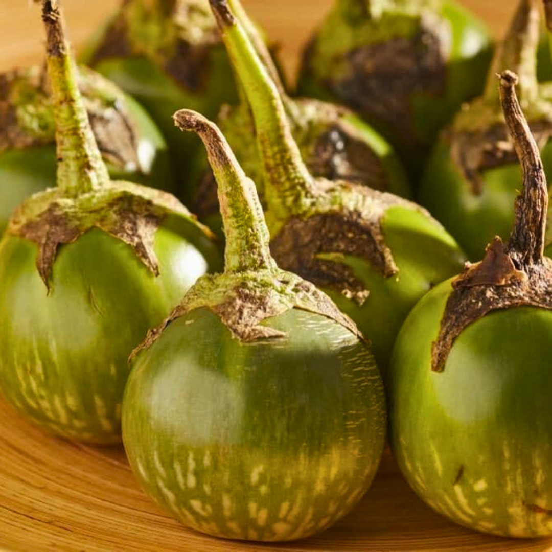 Fresh Thai Eggplant Seeds | Ngai Gwa | Heirloom Non-GMO | Asian Vegetable Seeds