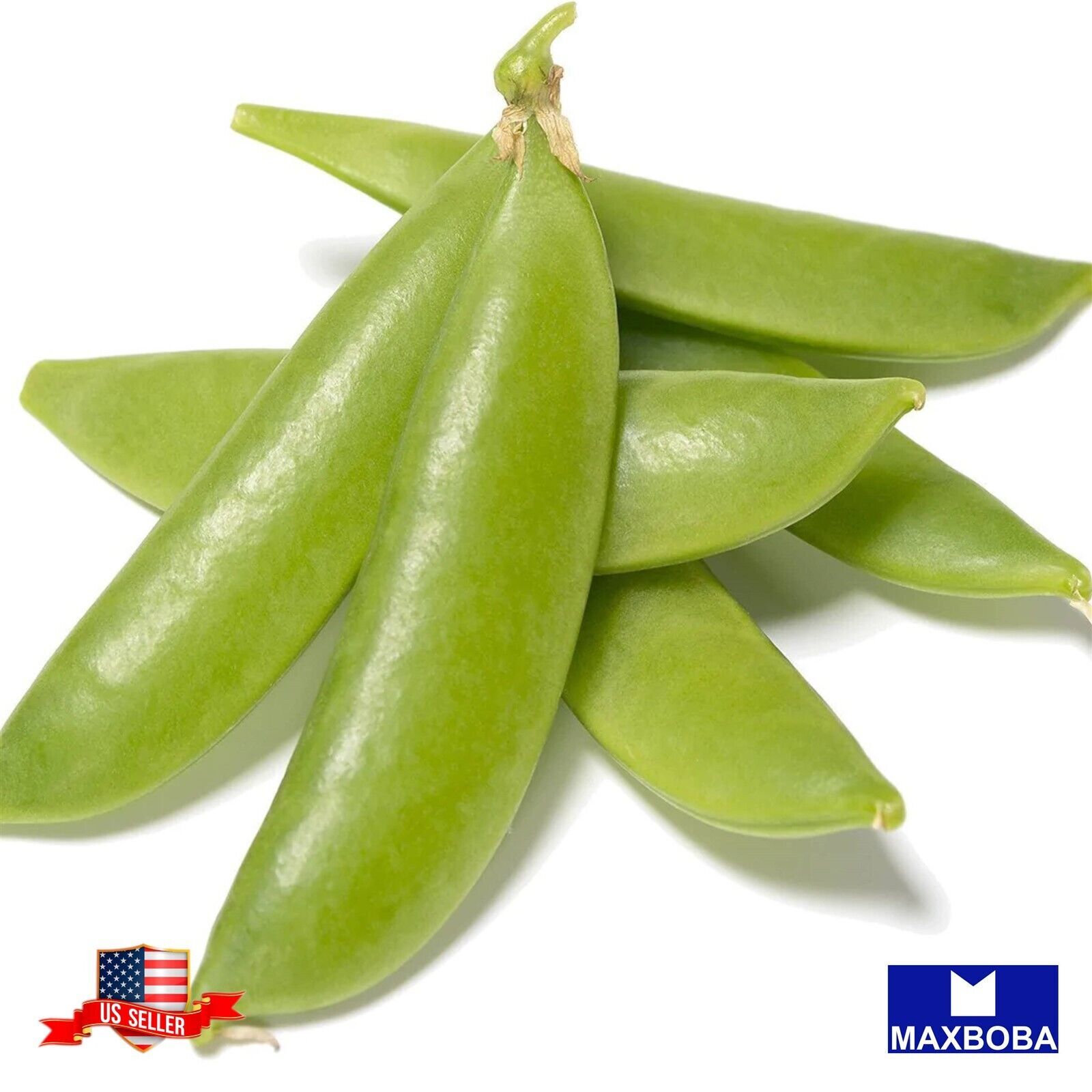 Pea Fresh Seeds – Snap – Sugar Ann Non-GMO Heirloom Vegetable
