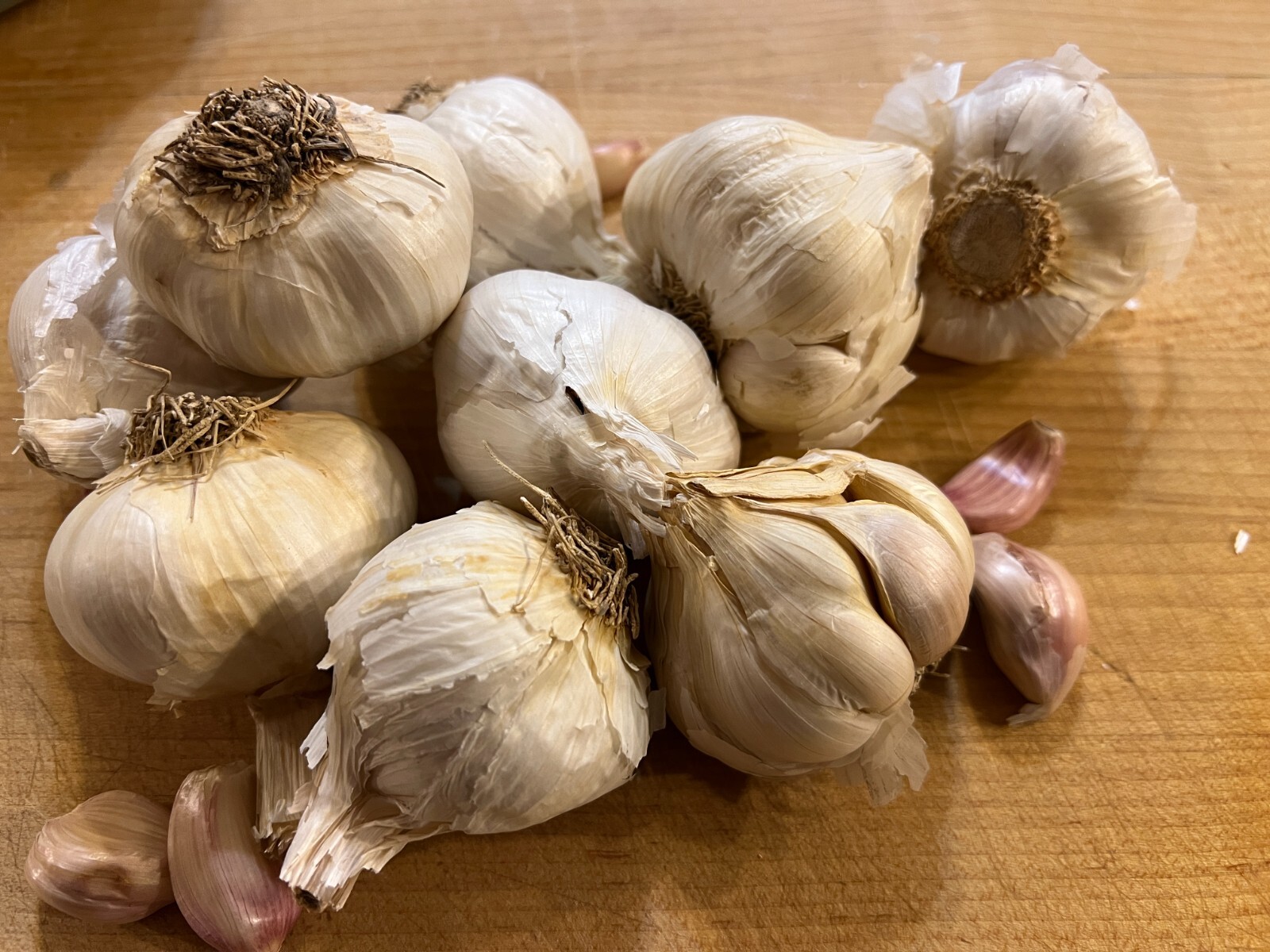 Non GMO Garlic Bulbs for Planting Or Eating 7 Pack (apprx 50-70 Cloves)