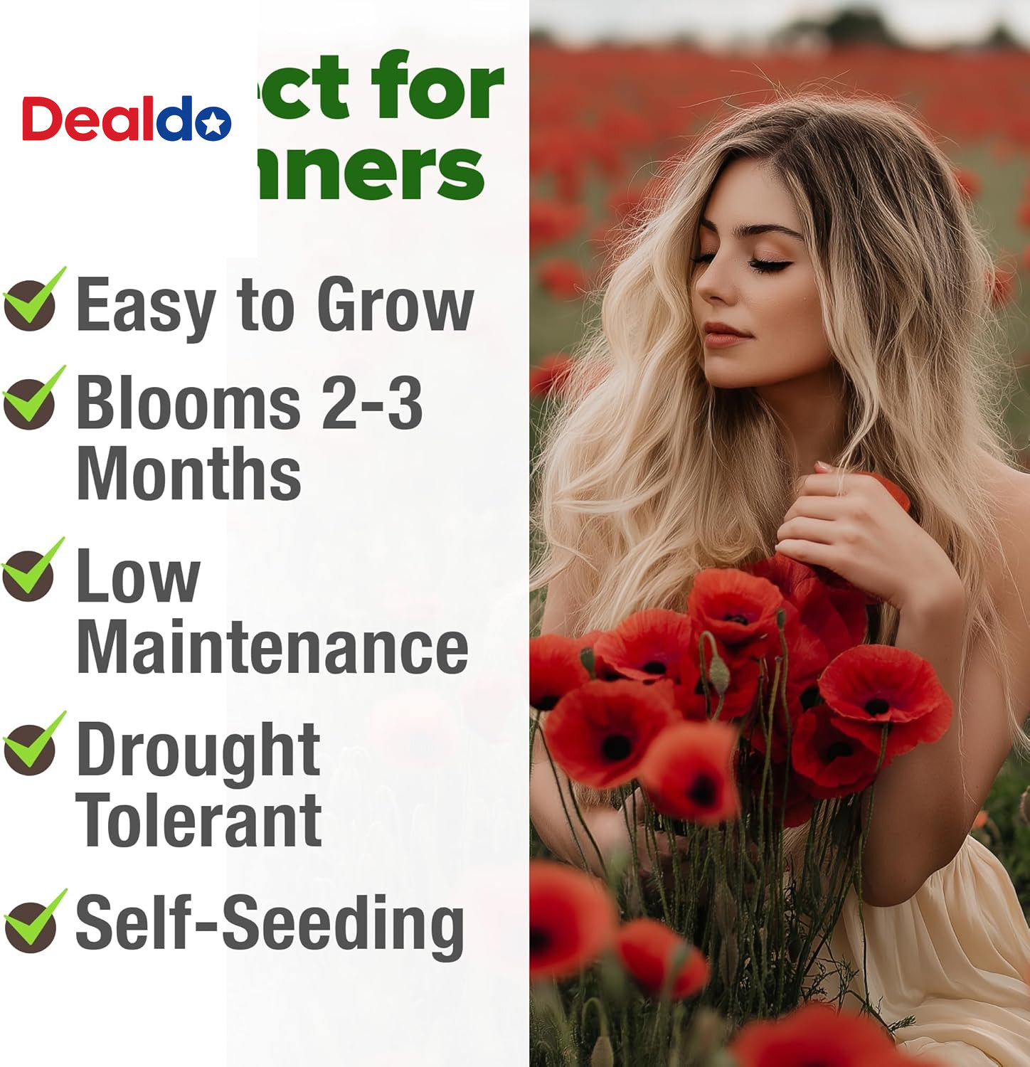 American Legion Red Poppy Seeds – 6,000 Vibrant Wildflower Seeds for Planting Ou