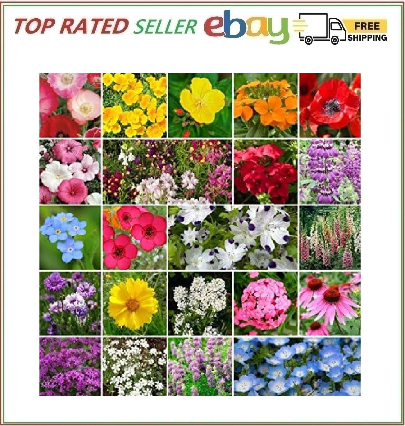 Non GMO Bulk Partial Shade Wildflower Seed Mix (1 lb) 520,000 Seeds 1 lb