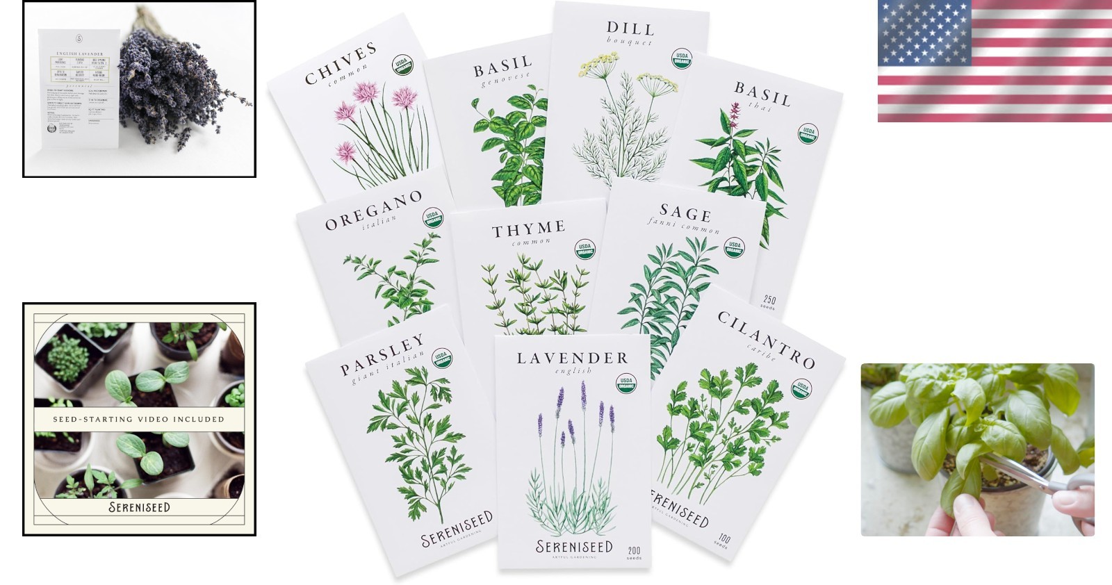 10 Pack of Heirloom Organic Herb Seeds with Seed Starting Video – Culinary Herbs