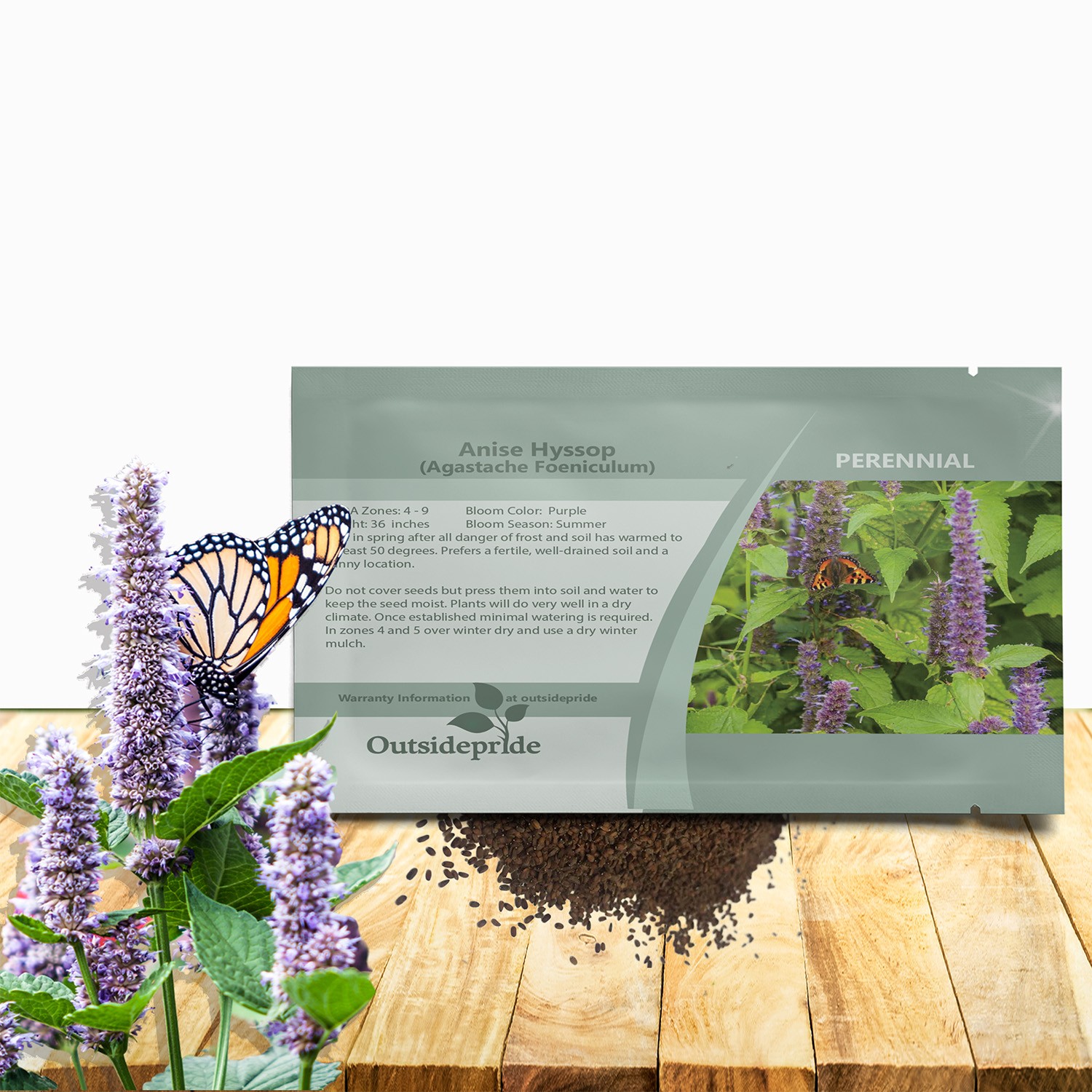 5000 Seeds Anise Hyssop Drought Tolerant Lavender Hyssop Herb Garden Plant Seed