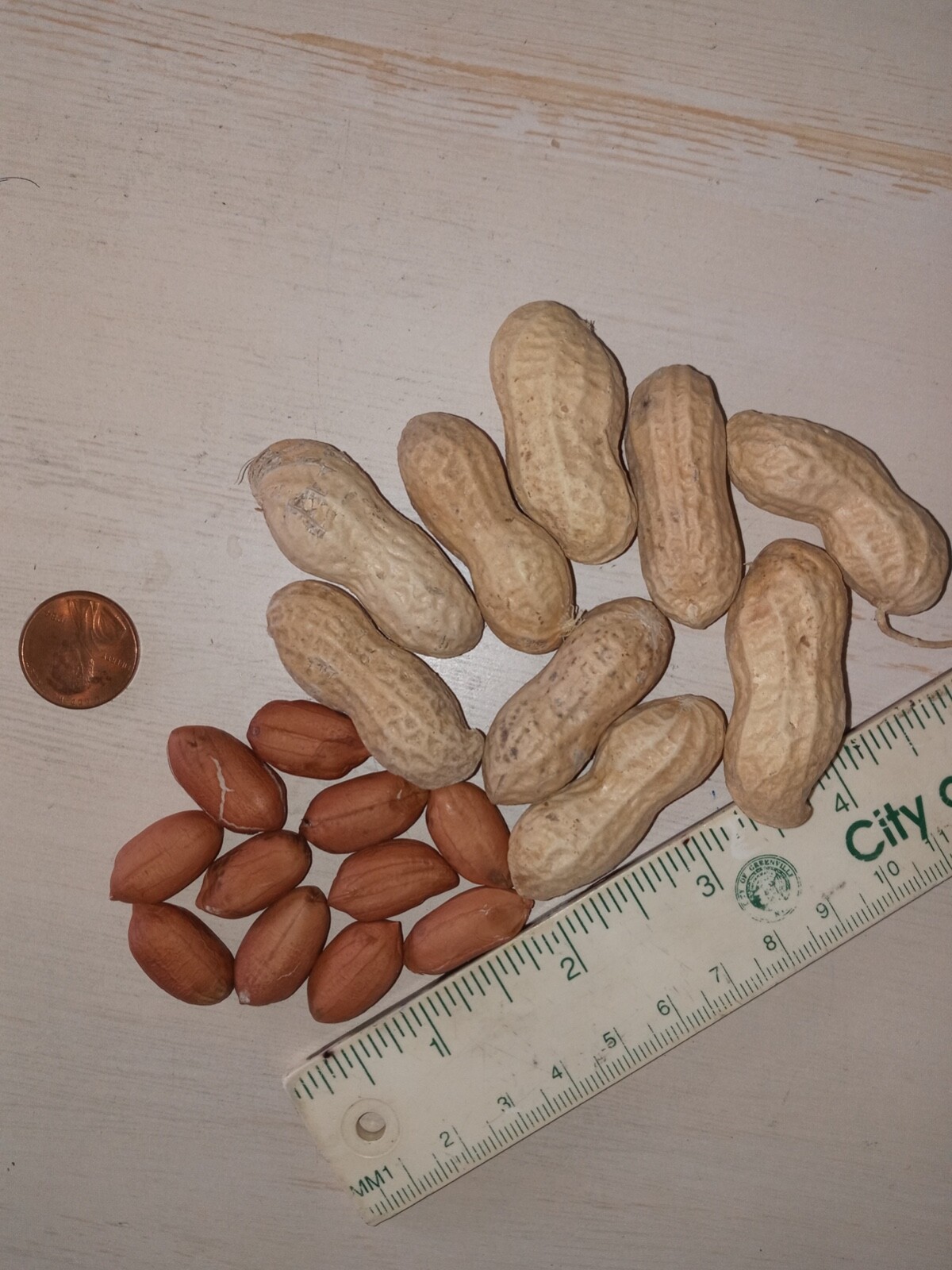 60+ Peanut Seeds For Planting , Organic NON – GMO