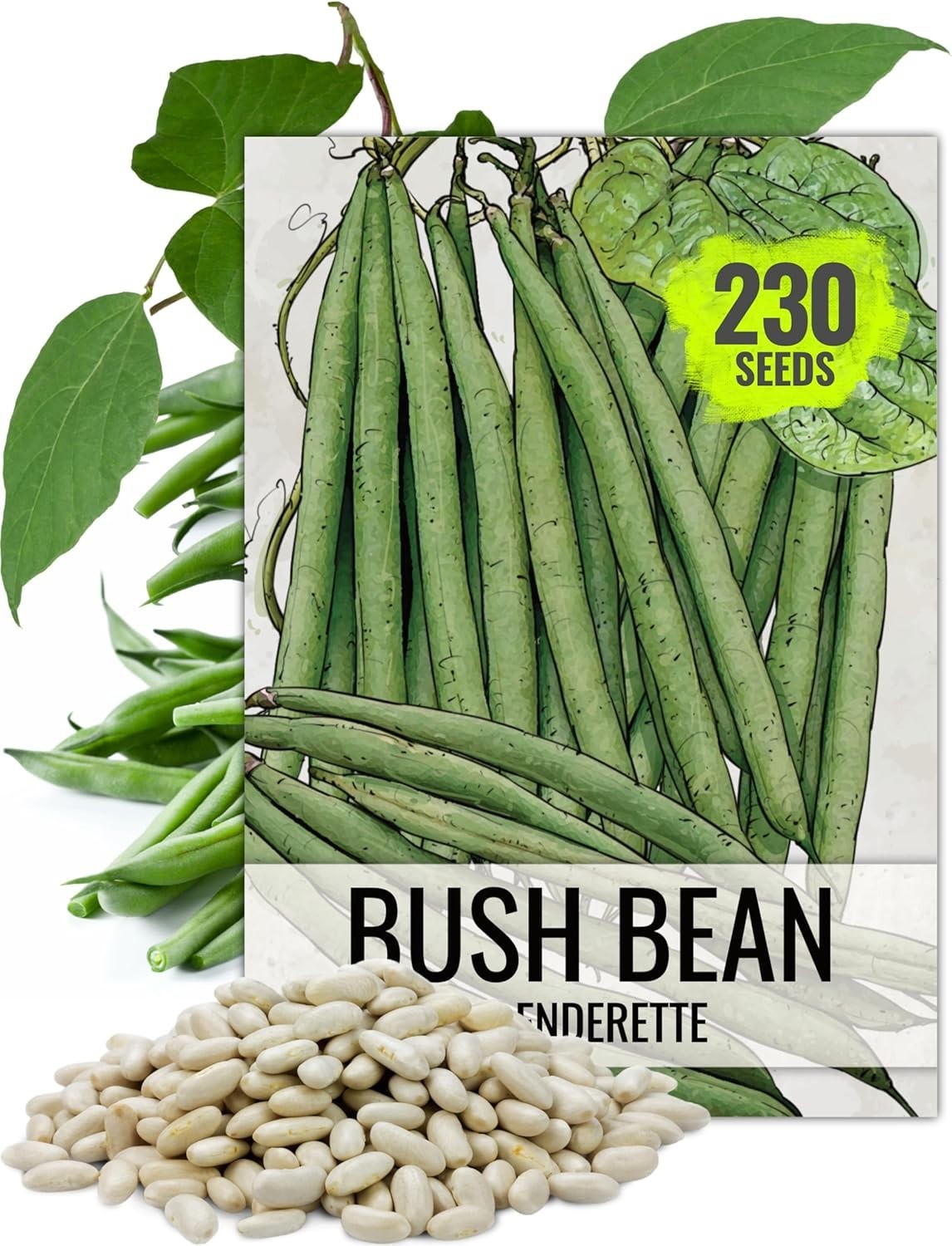 Bush Bean Seeds for Planting Slenderette Beans 2 Ounce Non-GMO