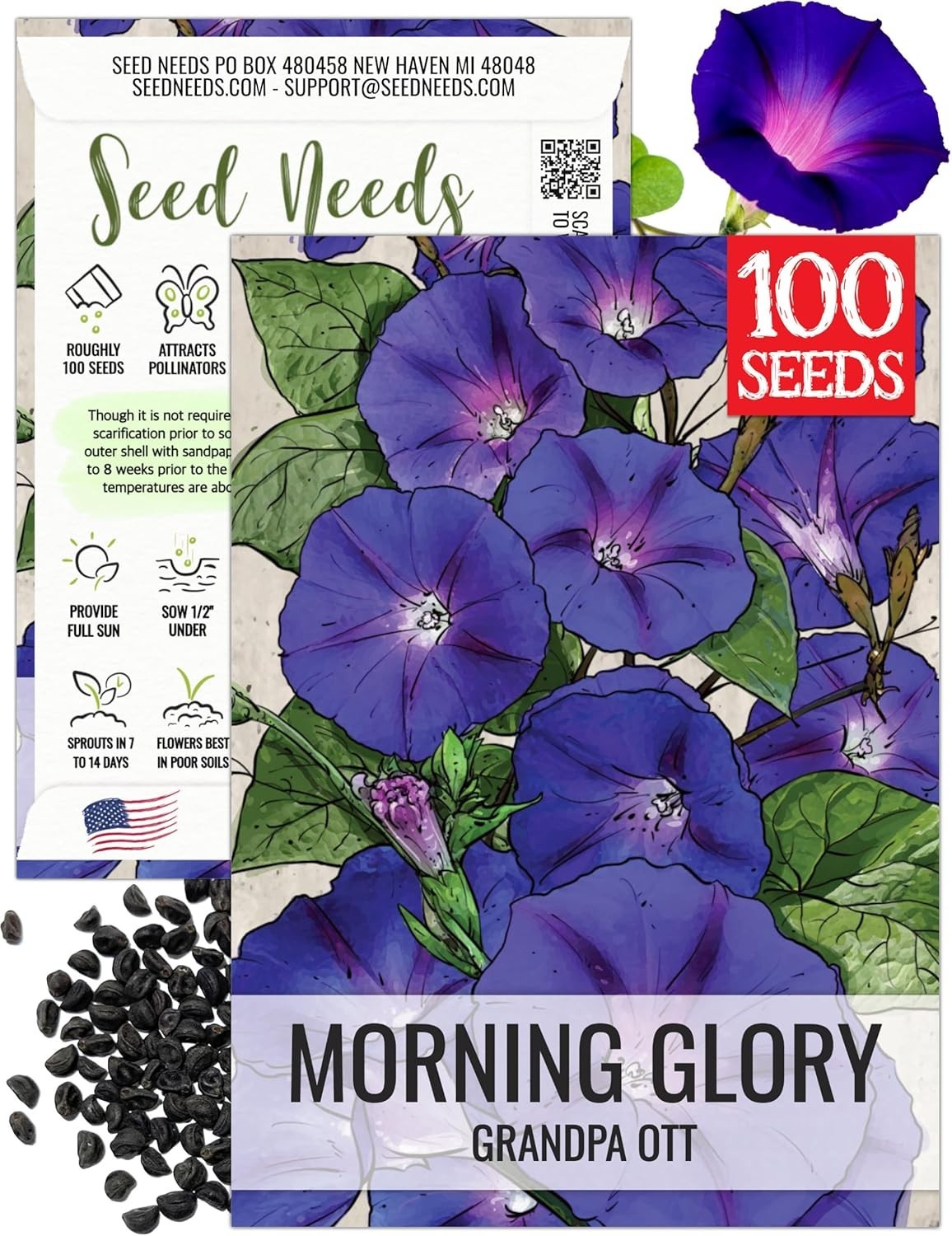Easy-to-Grow Grandpa Ott Morning Glory Seeds – Indigo Blooms for Privacy Fences