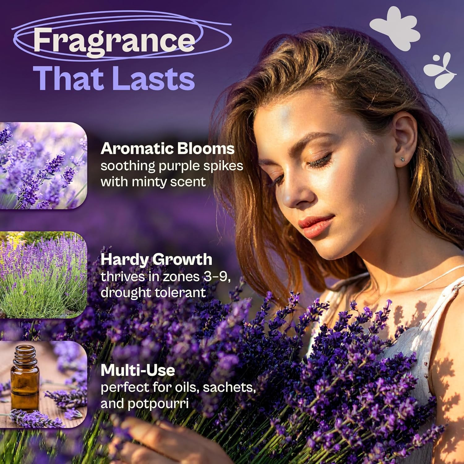 1500 English Lavender Seeds for Planting (Lavandula Angustifolia) – Fragrant Per