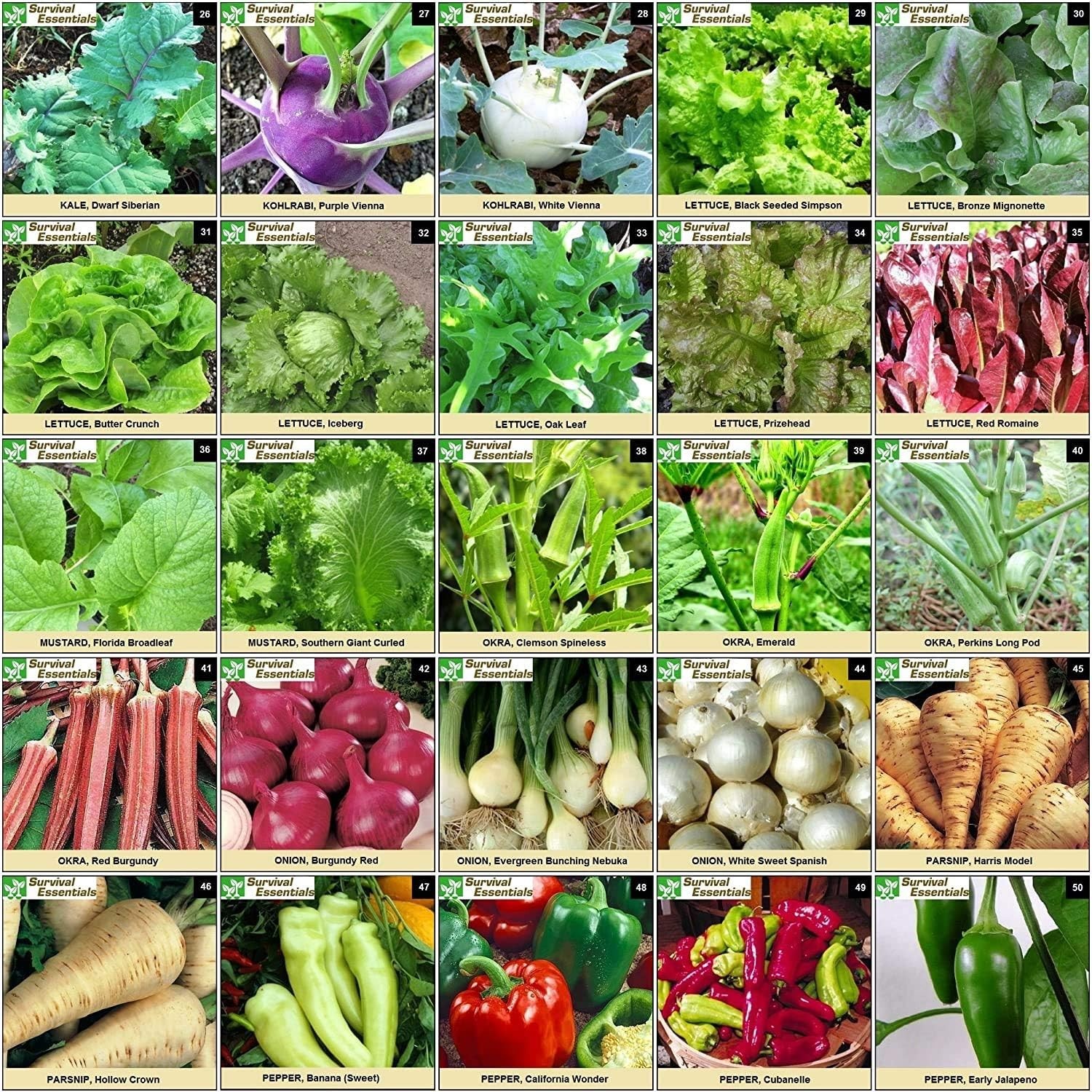 Heirloom Seed Vault 100 Variety Non-GMO Veggie Fruit Herb Survival Garden Kit