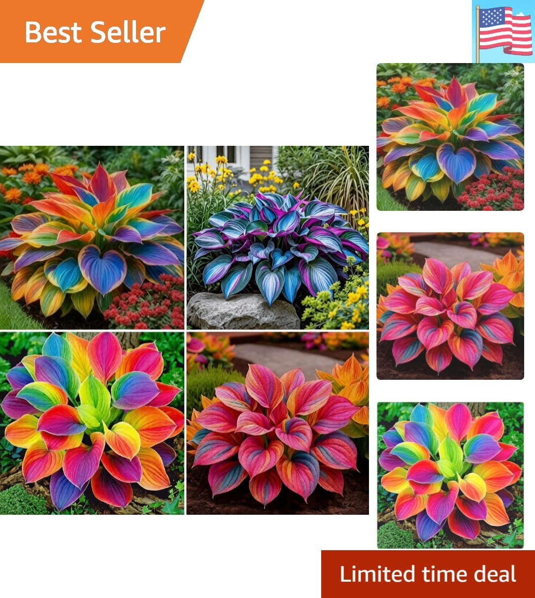 220+ Mixed Color Hosta Seeds for Planting – Hostas Seeds Rare Perennial, Flow…