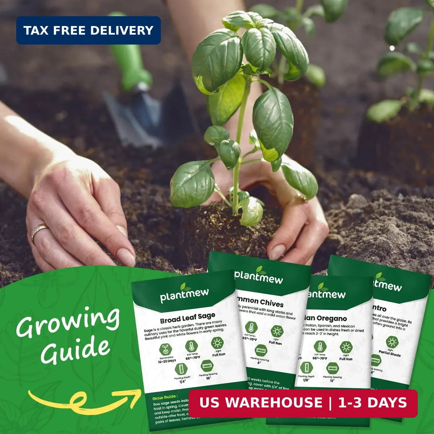 10 Herb Seeds Variety Pack – 7,000+ Heirloom Seeds – Basil, Cilantro, Lavender,