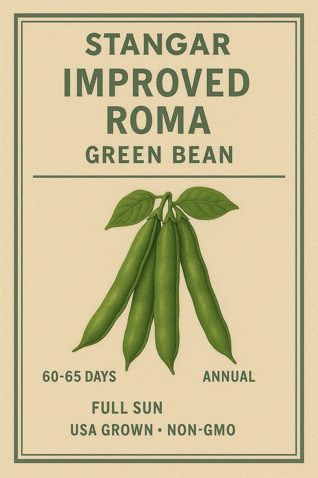 Stangar Roma II Bush Green Bean Seeds, Flat Stringless, NON-GMO, FREE SHIPPING