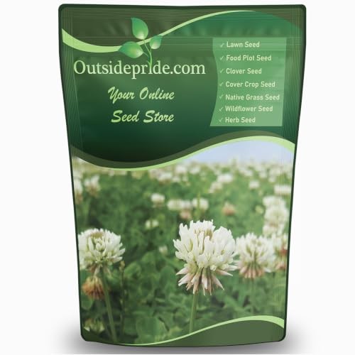 Outsidepride Perennial White Dutch Clover Seed – 1 lbs. Nitrocoated, Inoculated