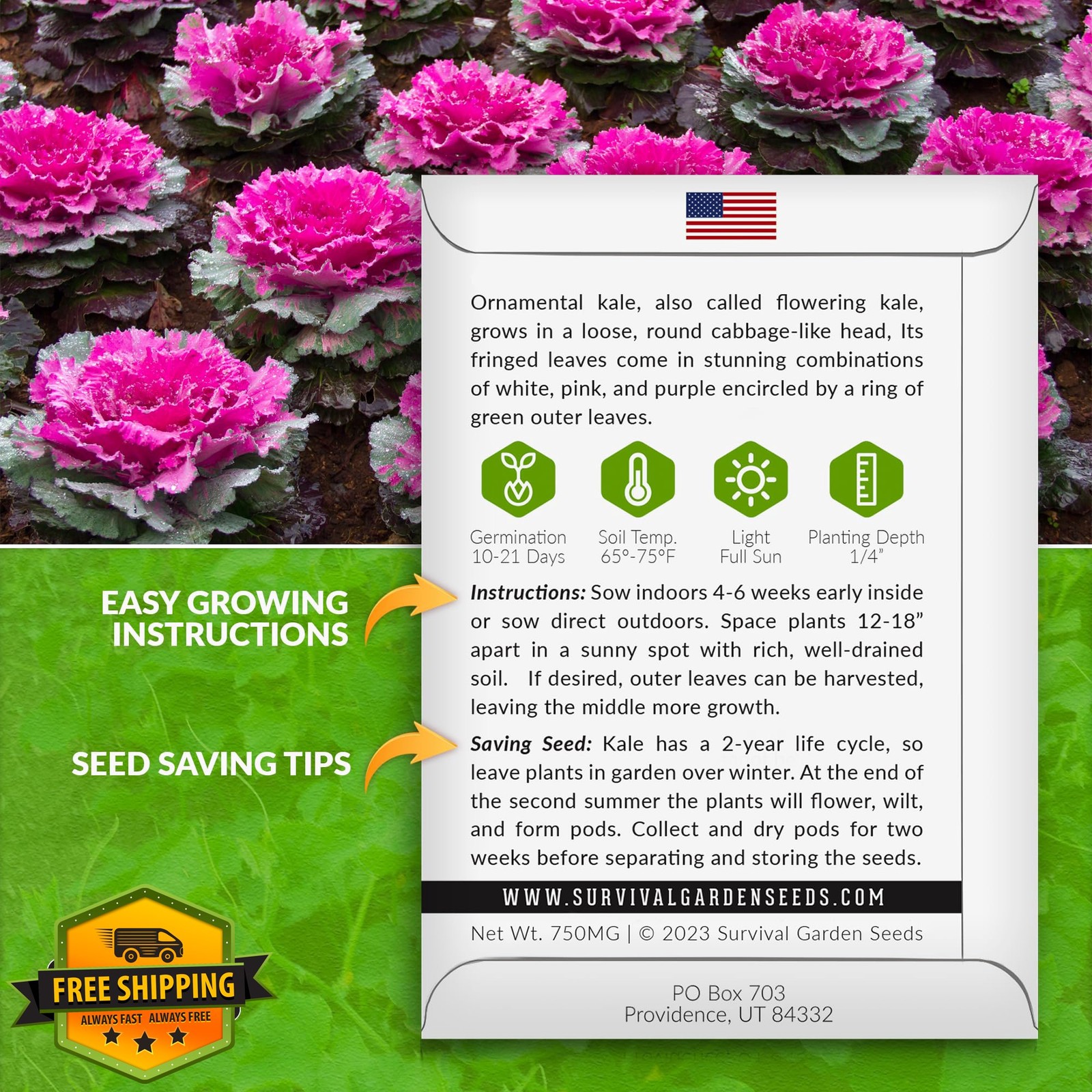SURVIVAL GARDEN SEEDS Ornamental Kale 5 Packs