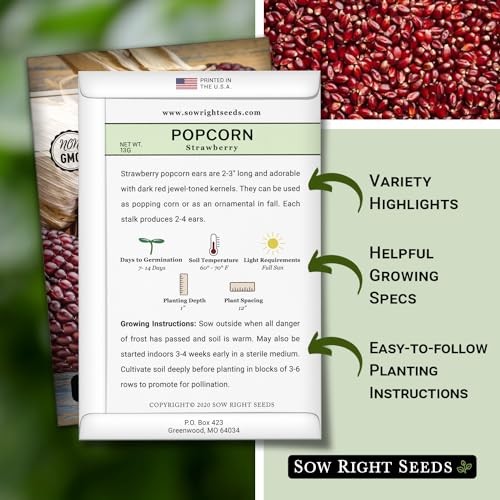 – Strawberry Pop Corn Seed for Planting – Non-GMO Heirloom Packet with 1