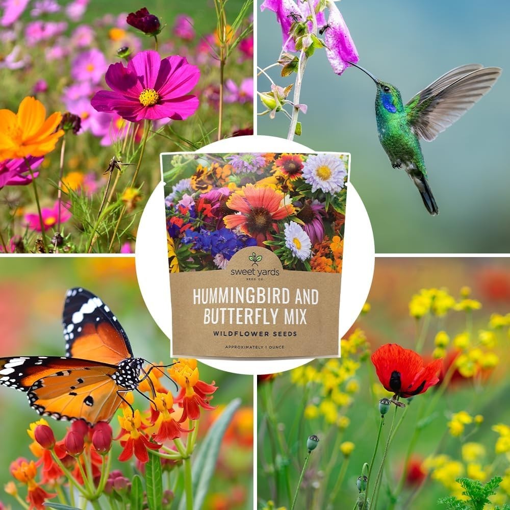 Wildflower Seeds Mix – 7,500+ Heirloom Seeds for Butterfly & Hummingbird Gardens