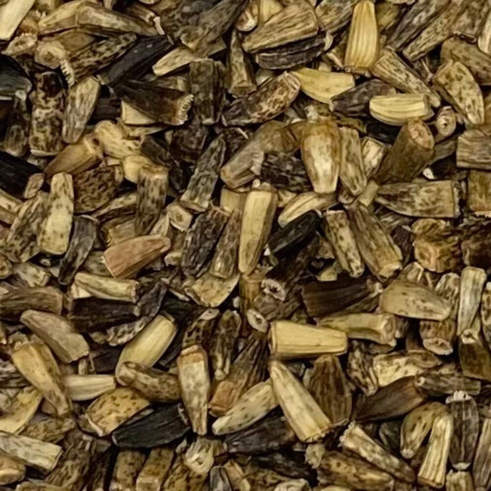 Wild Chicory Seeds (Cichorium intybus) ~Native Wildflower Pollinator Garden