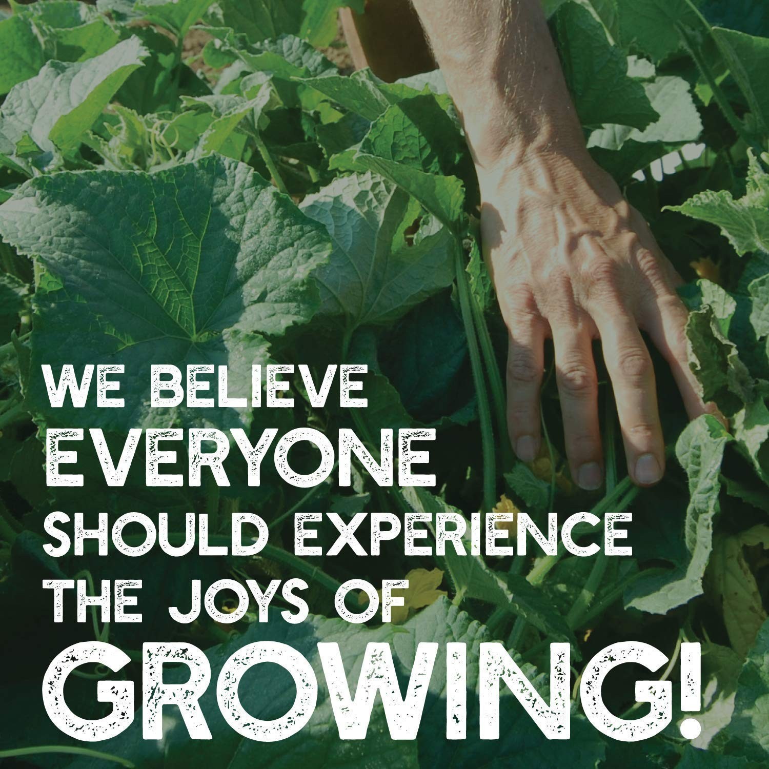 No-Till Garden Cover Crop Seed Mix – 5 Lbs Hairy Vetch, Daikon Radish & More