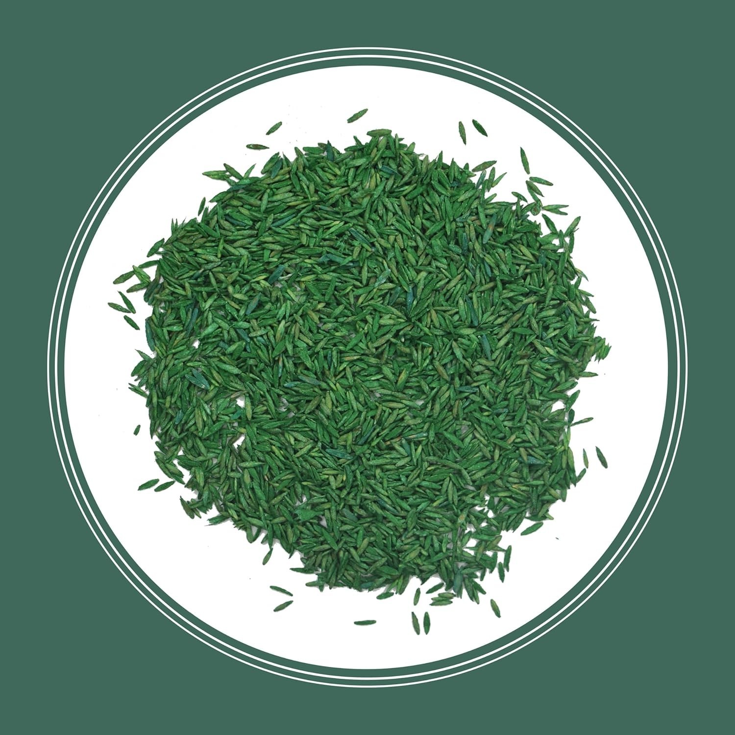 3 LB Pennington Kentucky 31 Grass Seed – Fast-Growing, Drought-Resistant Turf