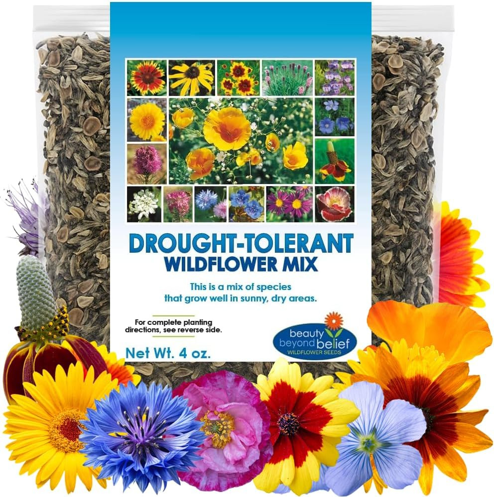 Drought Tolerant Wildflower Seeds – 4Oz Packet, Open-Pollinated Bulk Flower Seed