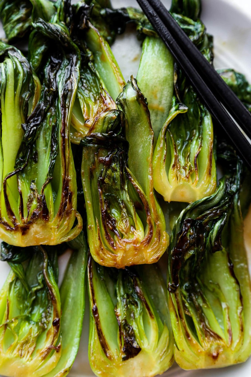 Wa Wa Qing F1 Bok Choy Seeds | Hybrid Shanghai Pak Choi Seed 2024 Fast Shipping