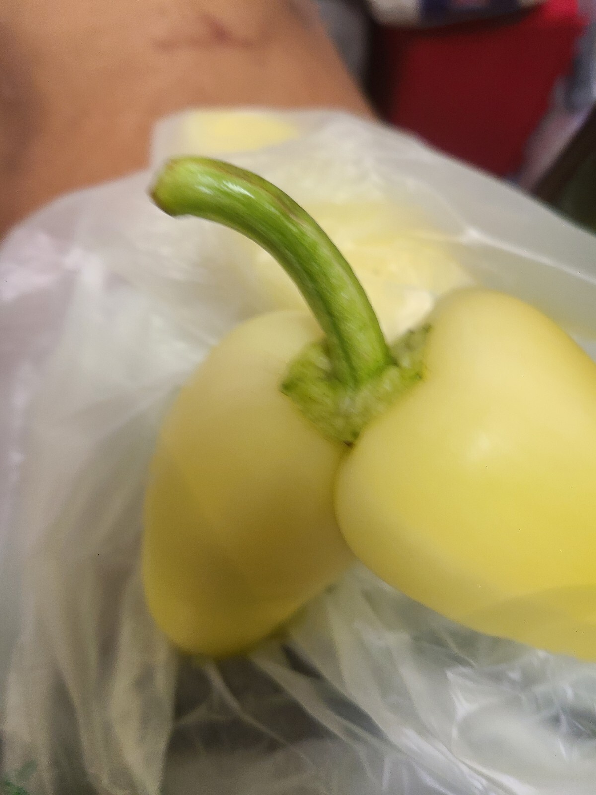 Sweet Banana Pepper Unusual SEXY Unique Shape
