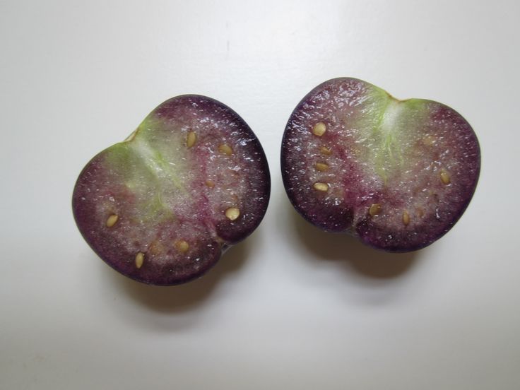 50+PURPLE DE MILPA TOMATILLO Seed Organic Summer Vegetable Garden Container Easy