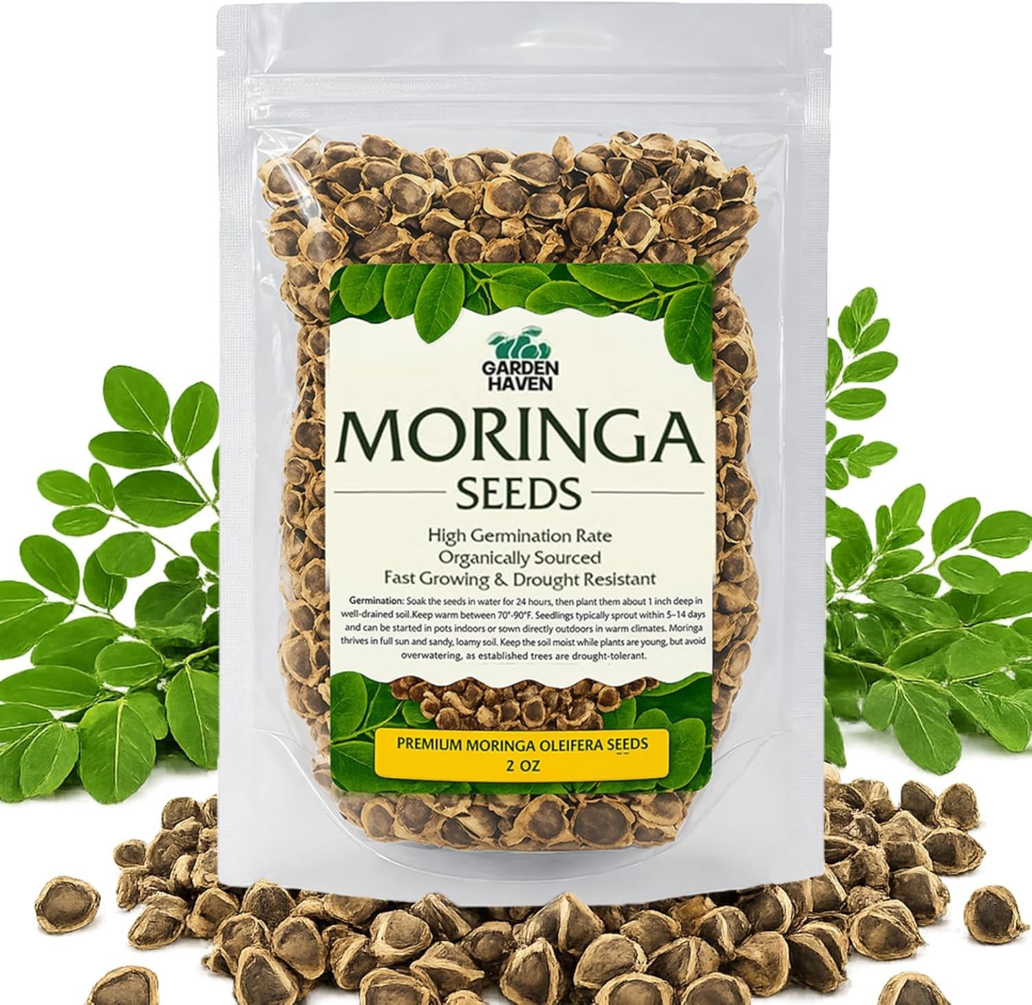 Moringa Seeds 2 oz (200+ Seeds) | PKM1 Premium Quality | Edible Snacking & Plant