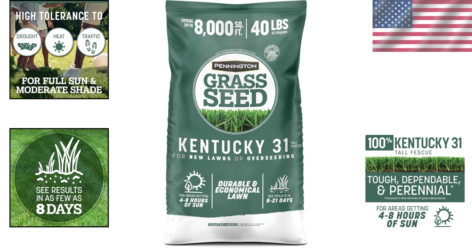 Kentucky 31 Tall Fescue – Industry Standard Lawn Seed