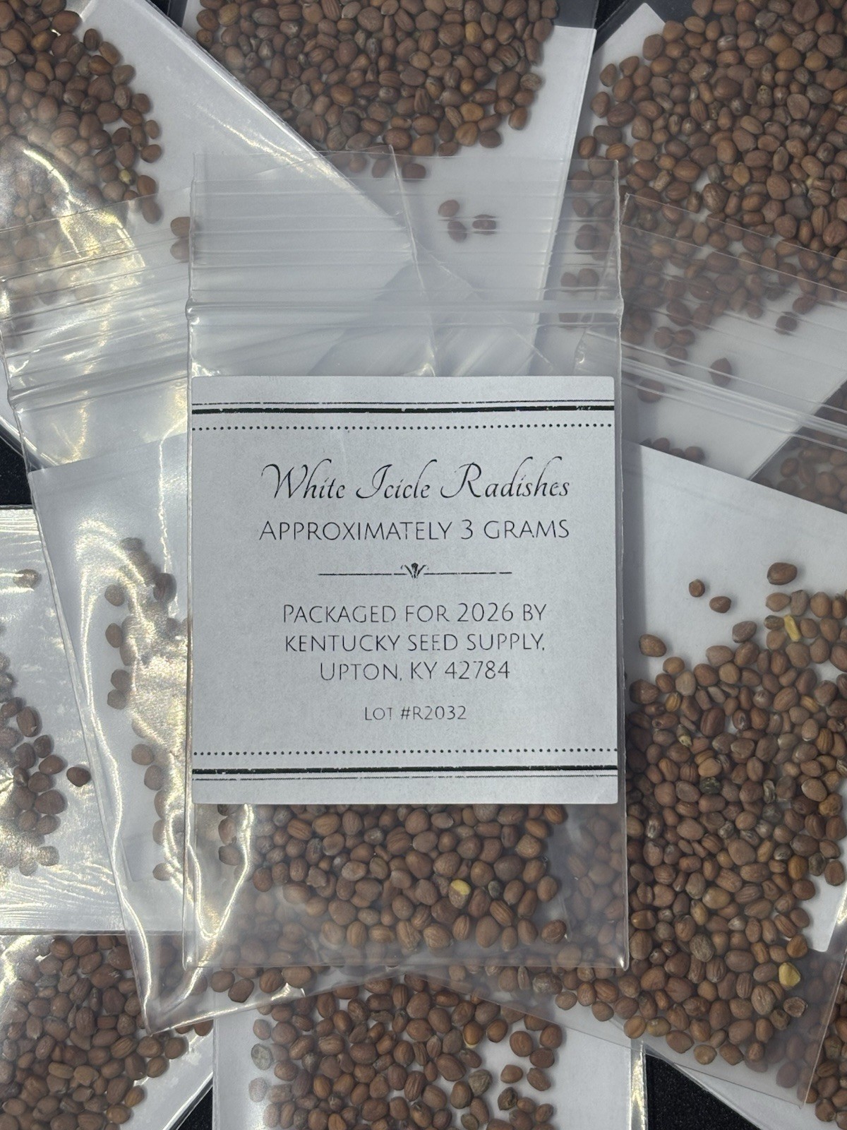White Icicle Radish Seeds 3 Grams-Free Shipping