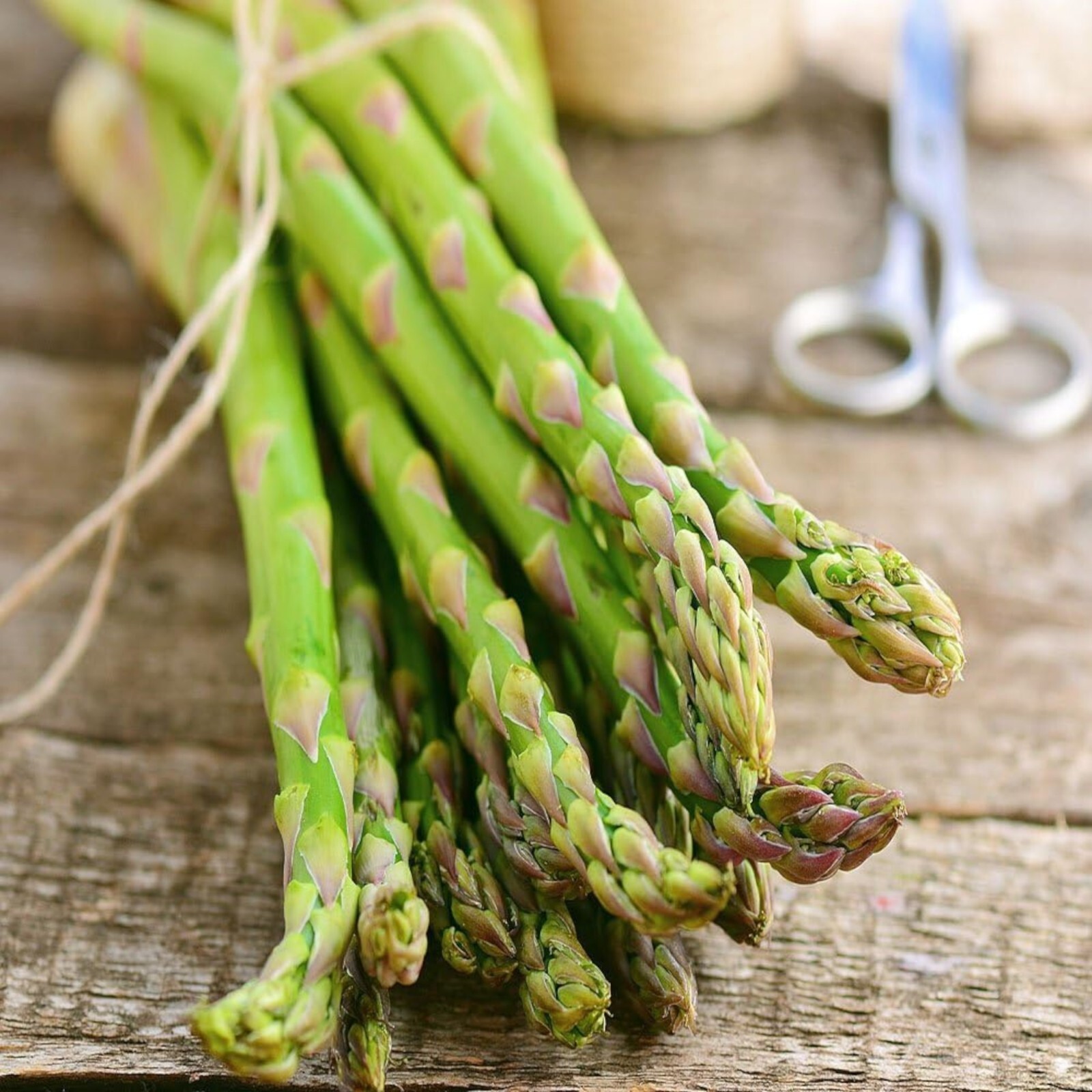 Mary Washington Asparagus Seeds – 50 Seeds – Non-GMO Heirloom