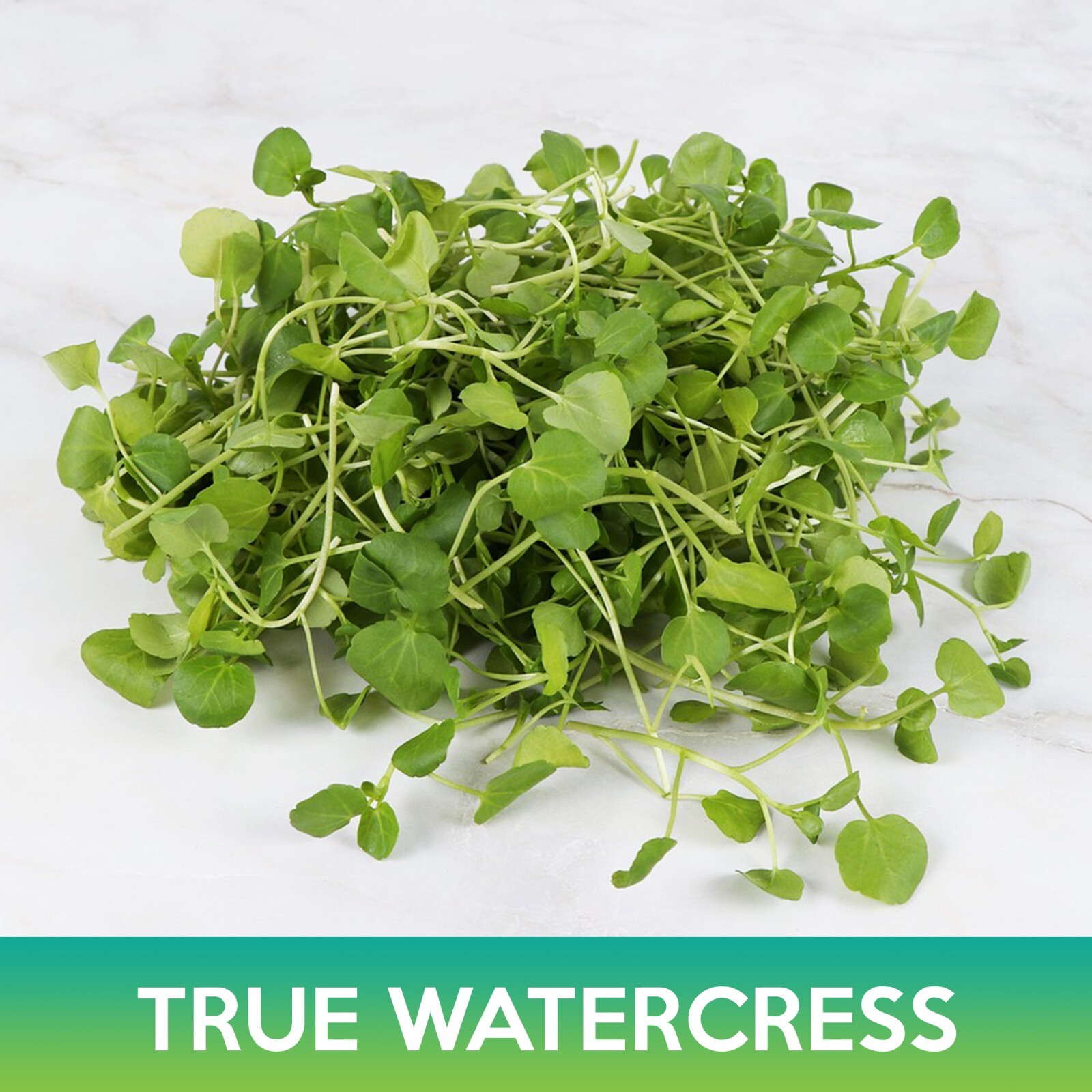 True Watercress Seeds
