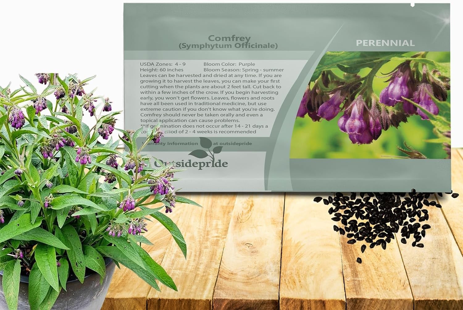 Comfrey Seeds – 100 Pcs. Perennial, Drought-Tolerant & Low Maintenance, Herb …