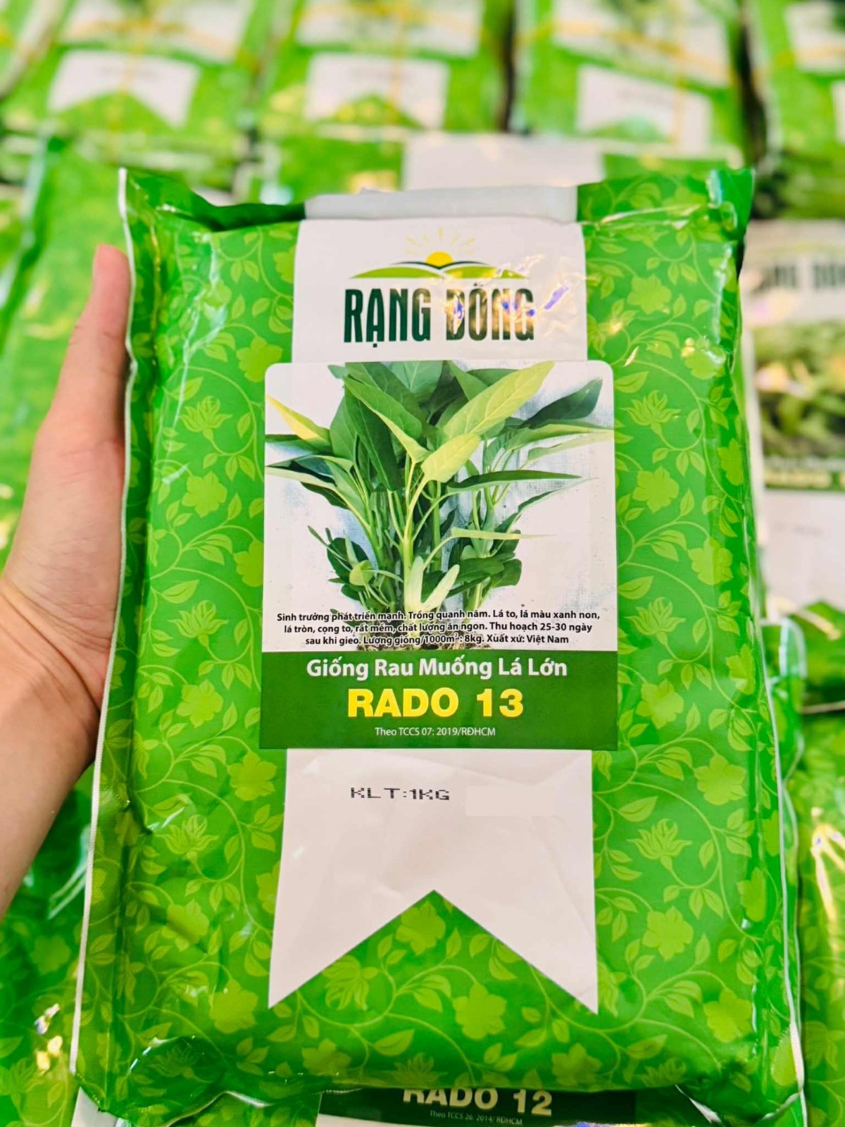 1KG Water Spinach Seeds – Rau Muong La Tre – La Lon, Kangkong Ongchoy -US Seller