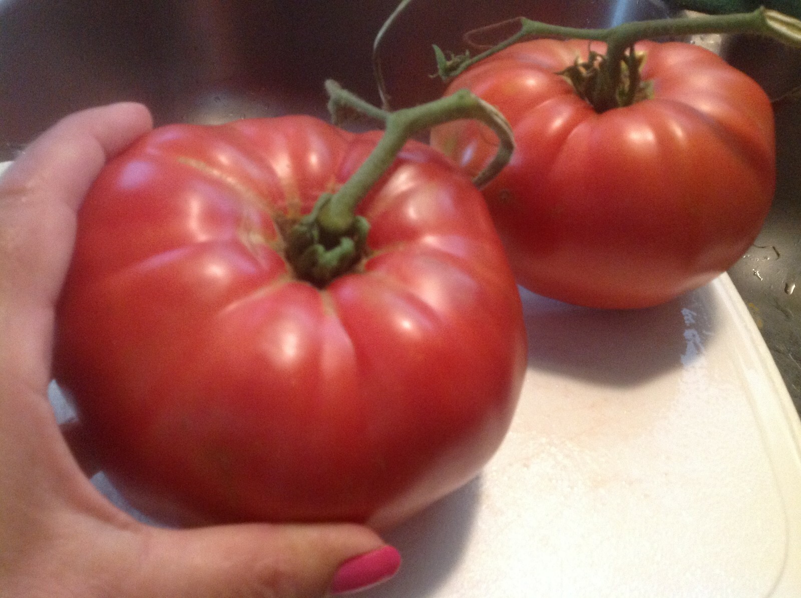 HUGE JUMBO Heirloom Tomato Seeds – Awesome Polish Beefsteak USA 25+ ct seeds