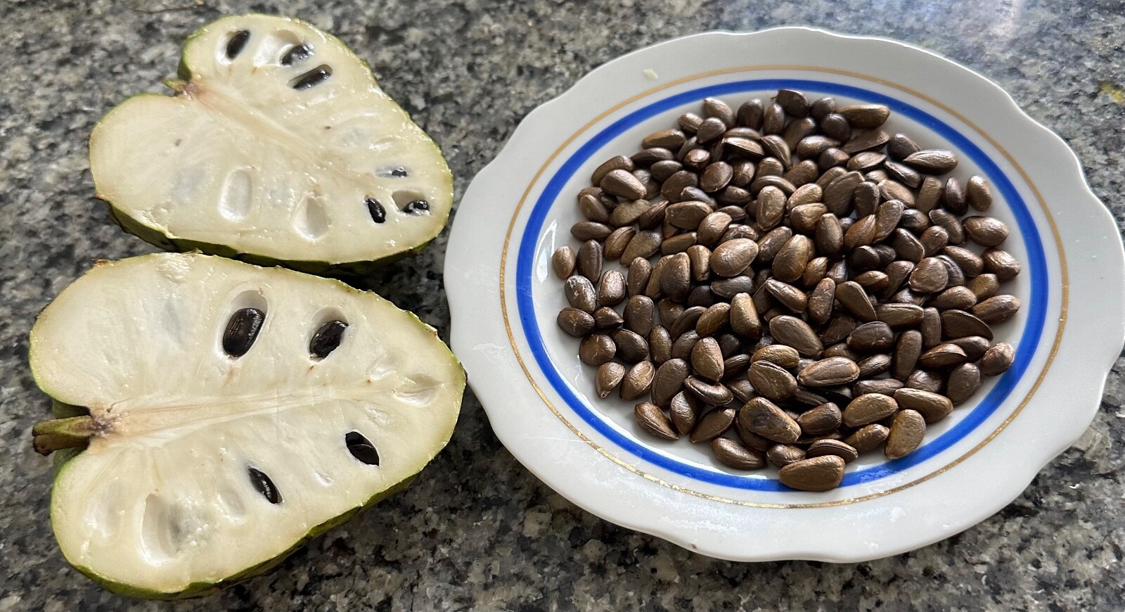 20 Seeds Cherimoya – Annona Cherimola – Cherimolia