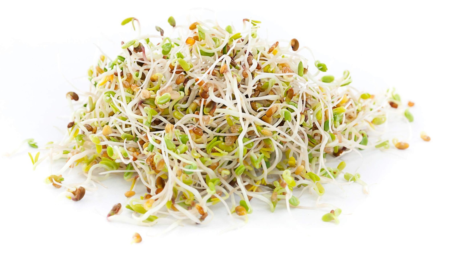 8 oz Microgreen Sprouting Mix – Non-GMO Radish & Alfalfa Seeds by Country Creek
