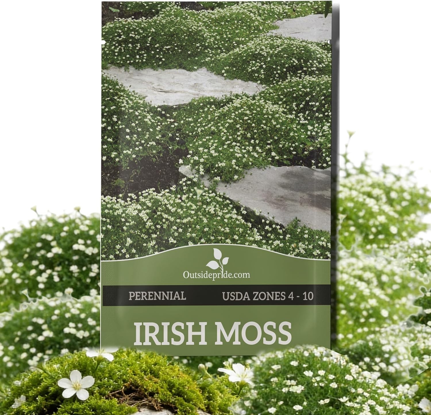Low-Growing 5000 Irish Moss Seeds – Perfect Lawn Alternative & Outdoor Cover
