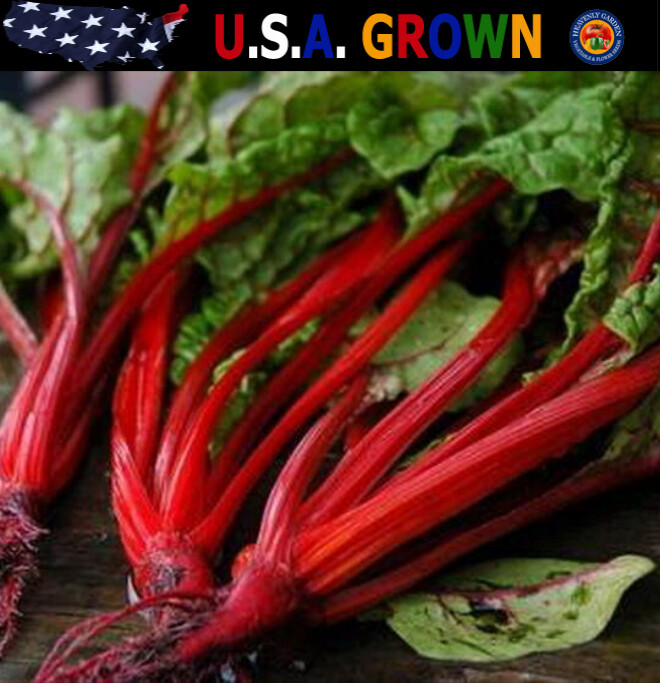 500 Swiss Chard Seeds Ruby Red Heirloom – Non-GMO – Always Fresh Seeds