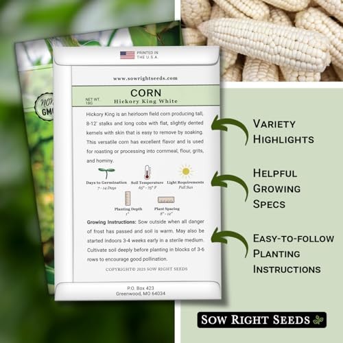 Heirloom Heirloom Seeds – Non-GMO Hickory King White Corn Seeds – Pack of 1
