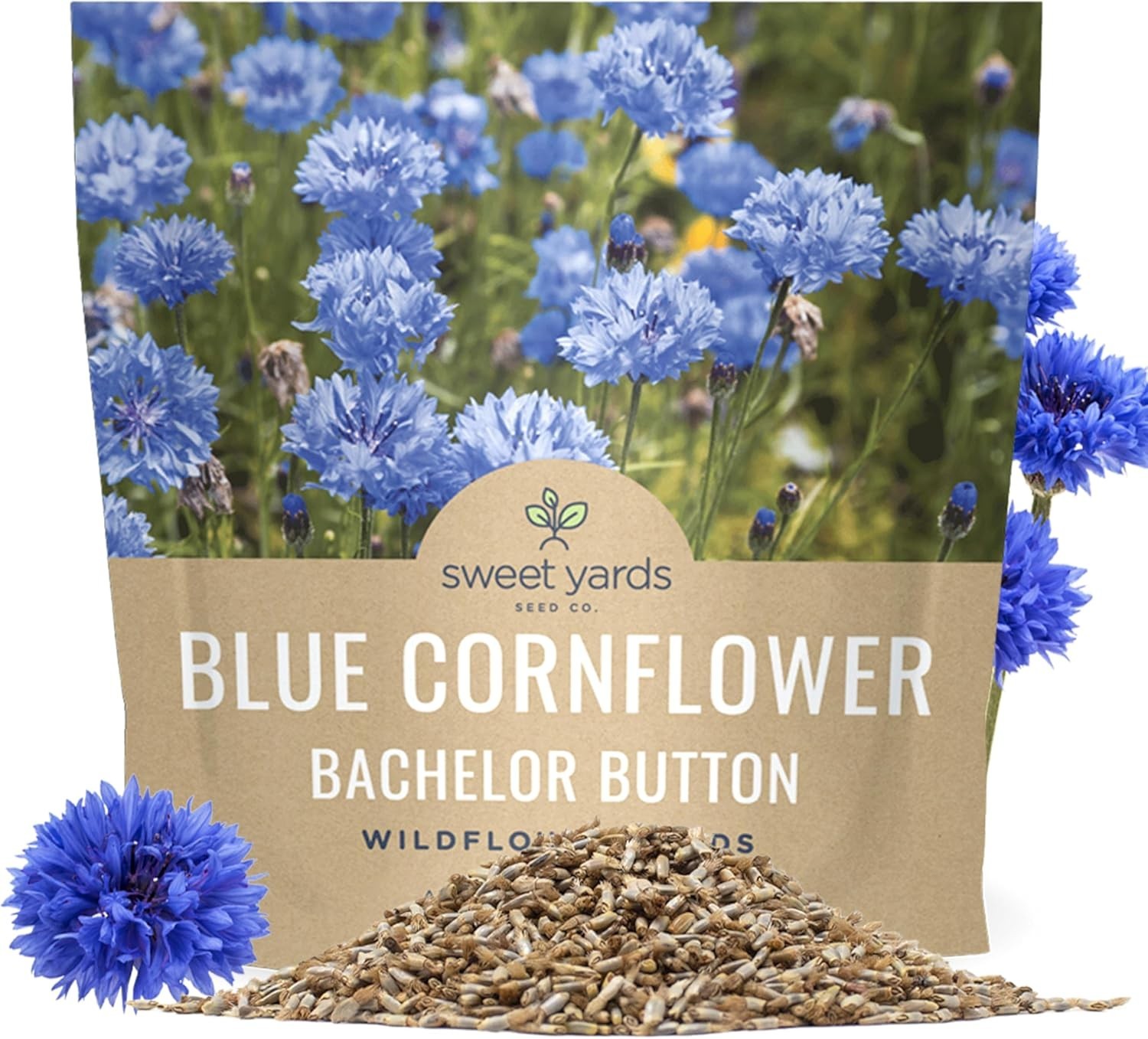 Blue Cornflower Seeds – 5,000 Extra Large Non-GMO Wildflower Seeds, Easy to Grow