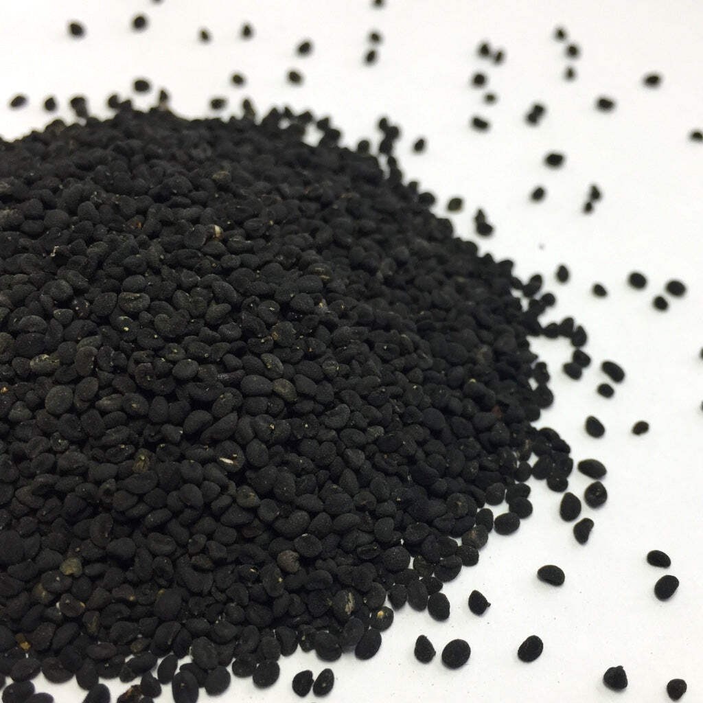 Baical Skullcap Seeds (Scutellaria baicalensis) ~Traditional Herb Flower Garden