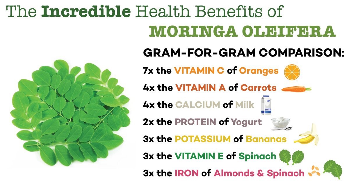 Moringa Seeds | Drumstick Tree | Organic | NON-GMO | Best Seller