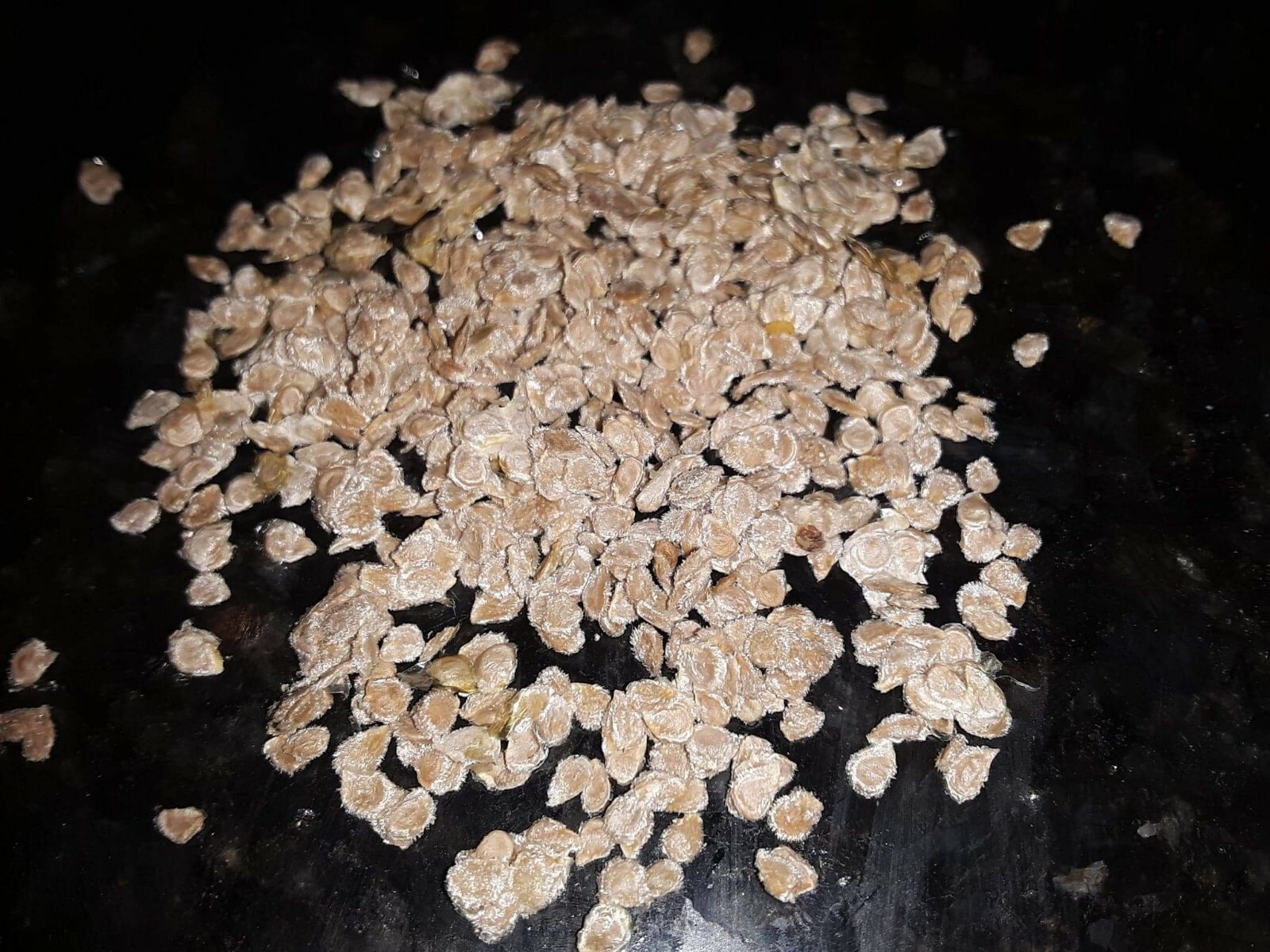 50 Rare Black Large Tomato Seeds.US grown seeds.