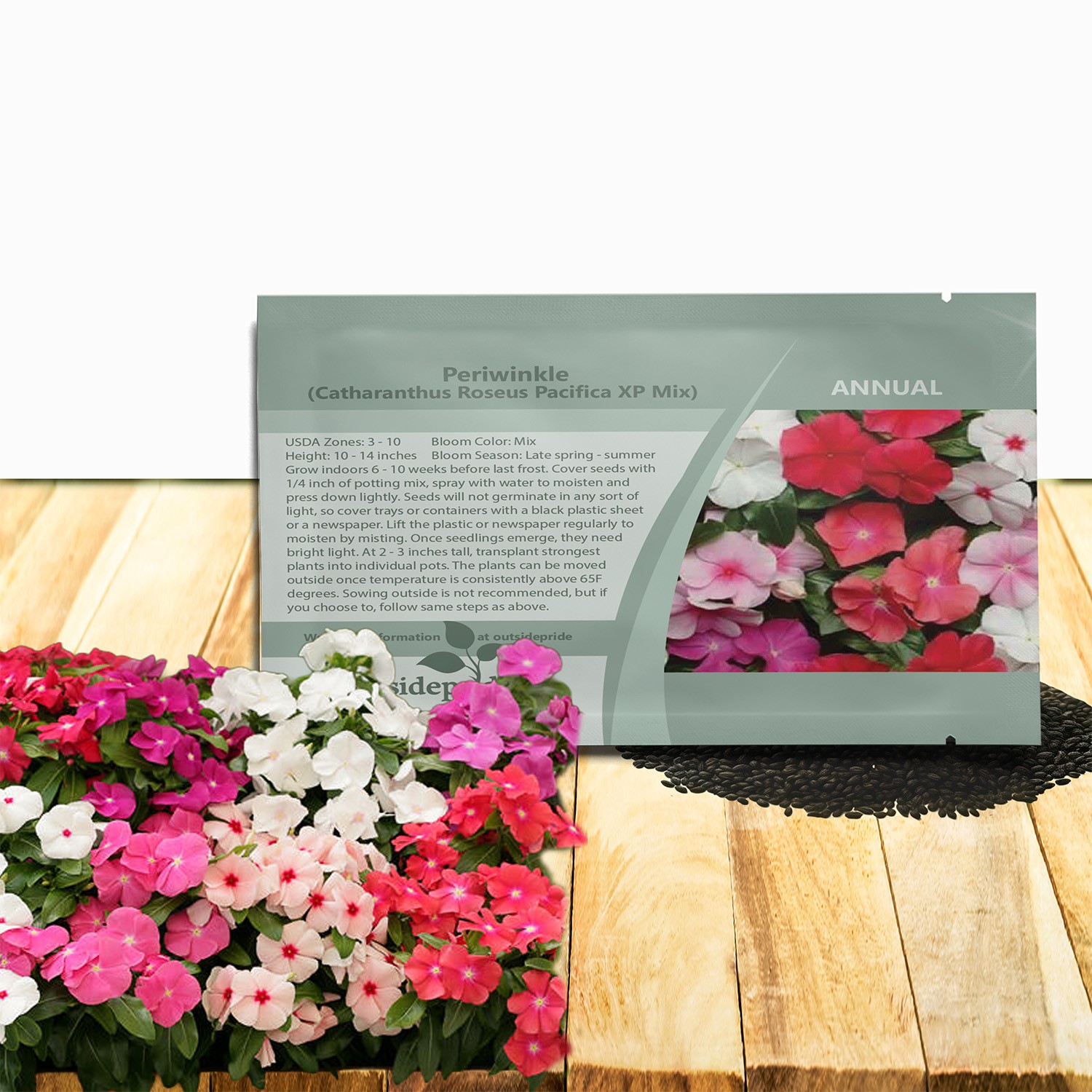 200 Seeds Drought Tolerant Periwinkle Flower Seed & Ground Cover Plant Mix