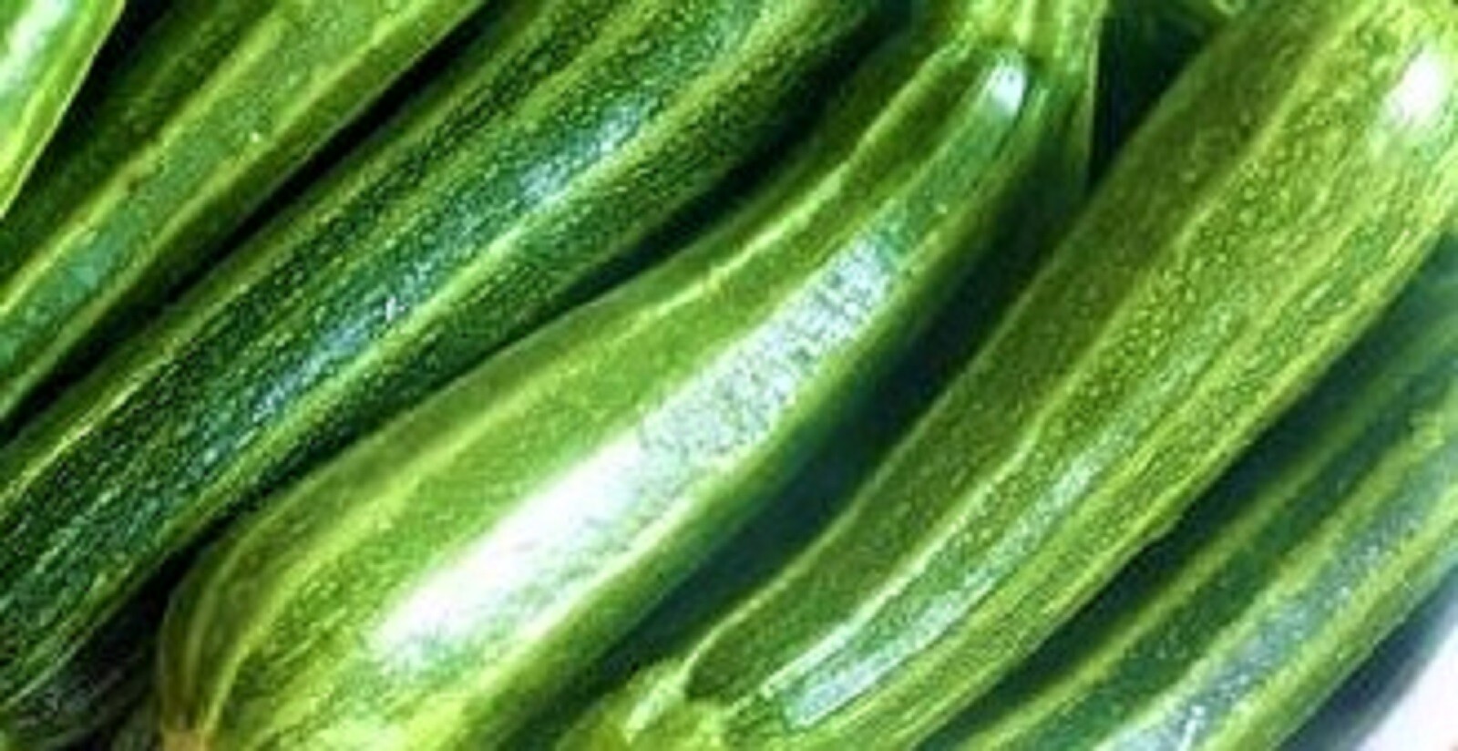 Cocozelle Zucchini Seeds 30 SEEDS NON-GMO –BUY 4 ITEMS FREE SHIPPING
