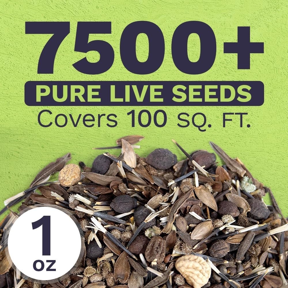 Wildflower Seeds Mix – 7,500+ Butterfly & Hummingbird Favorites for a Vibrant…