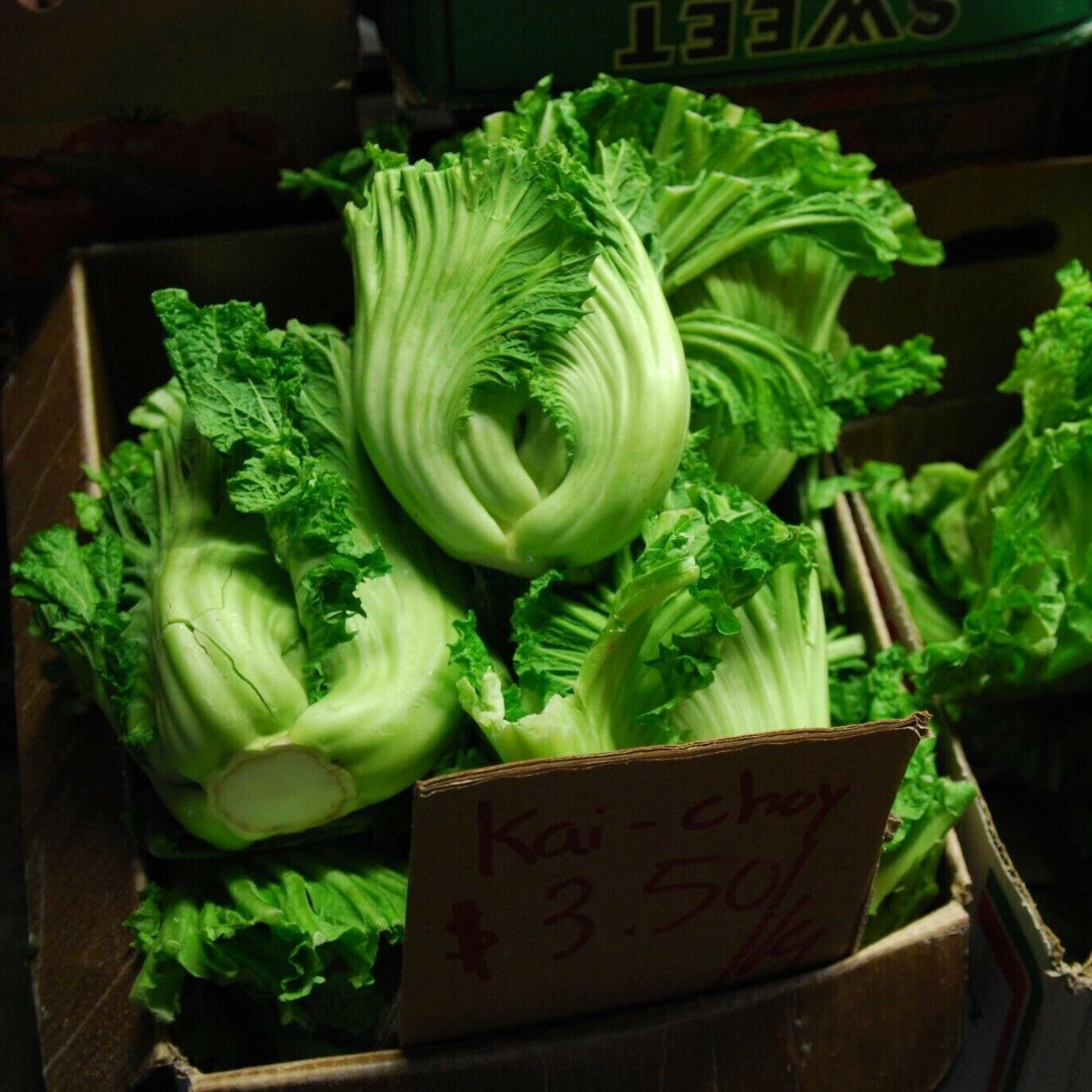 3 different salad kits you choose grow your own NON-GMO seeds VERY EASY HEALTHY!